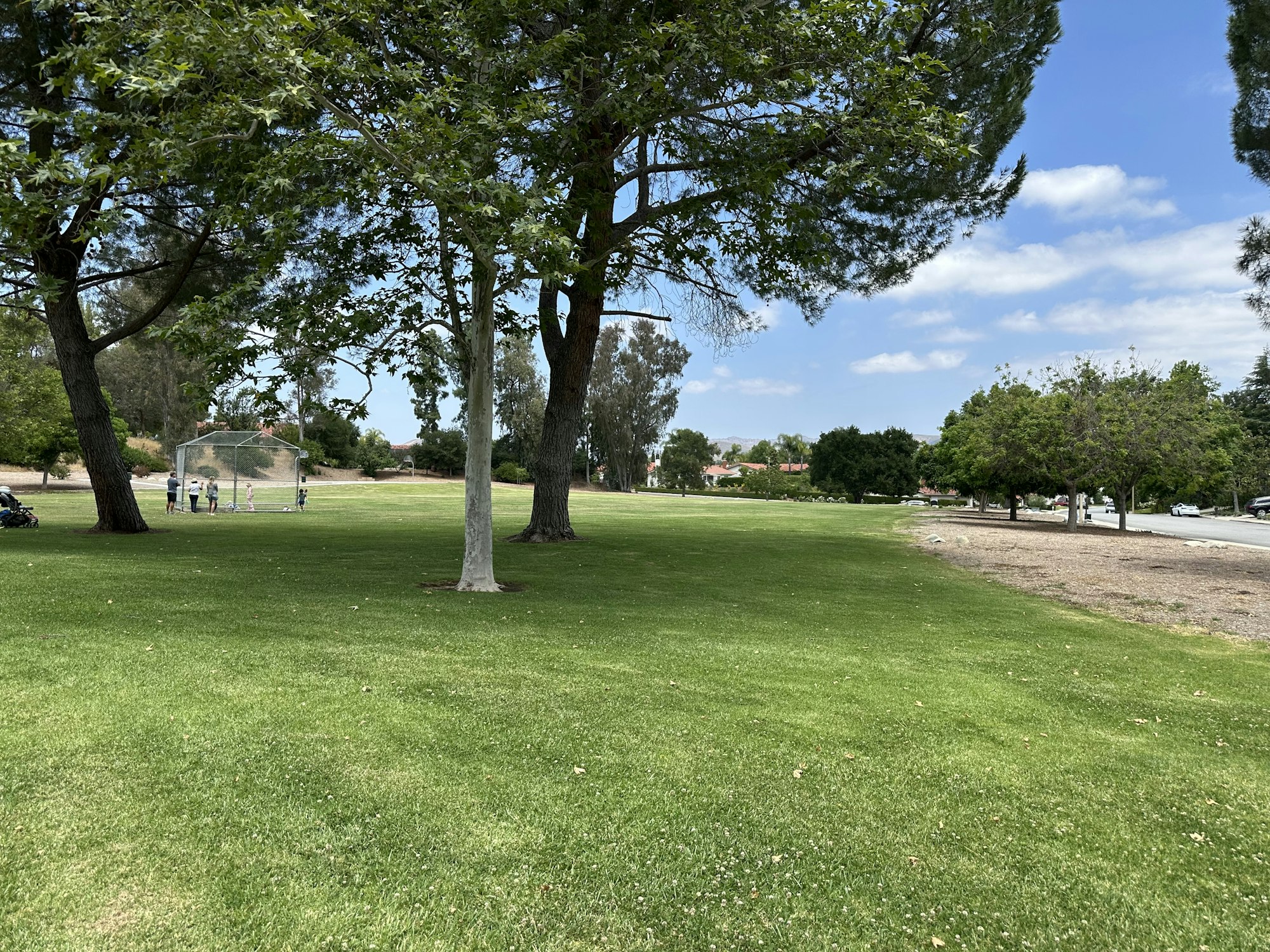 A sunny park scene with green grass, trees, and a baseball practice area where kids are playing in the background.