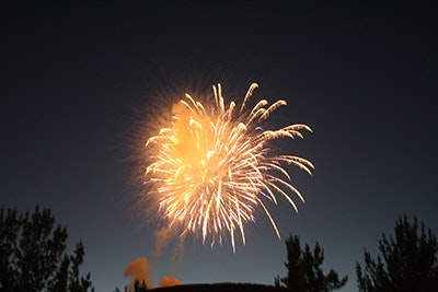A large firework explodes in the sky over silhouetted trees during twilight.