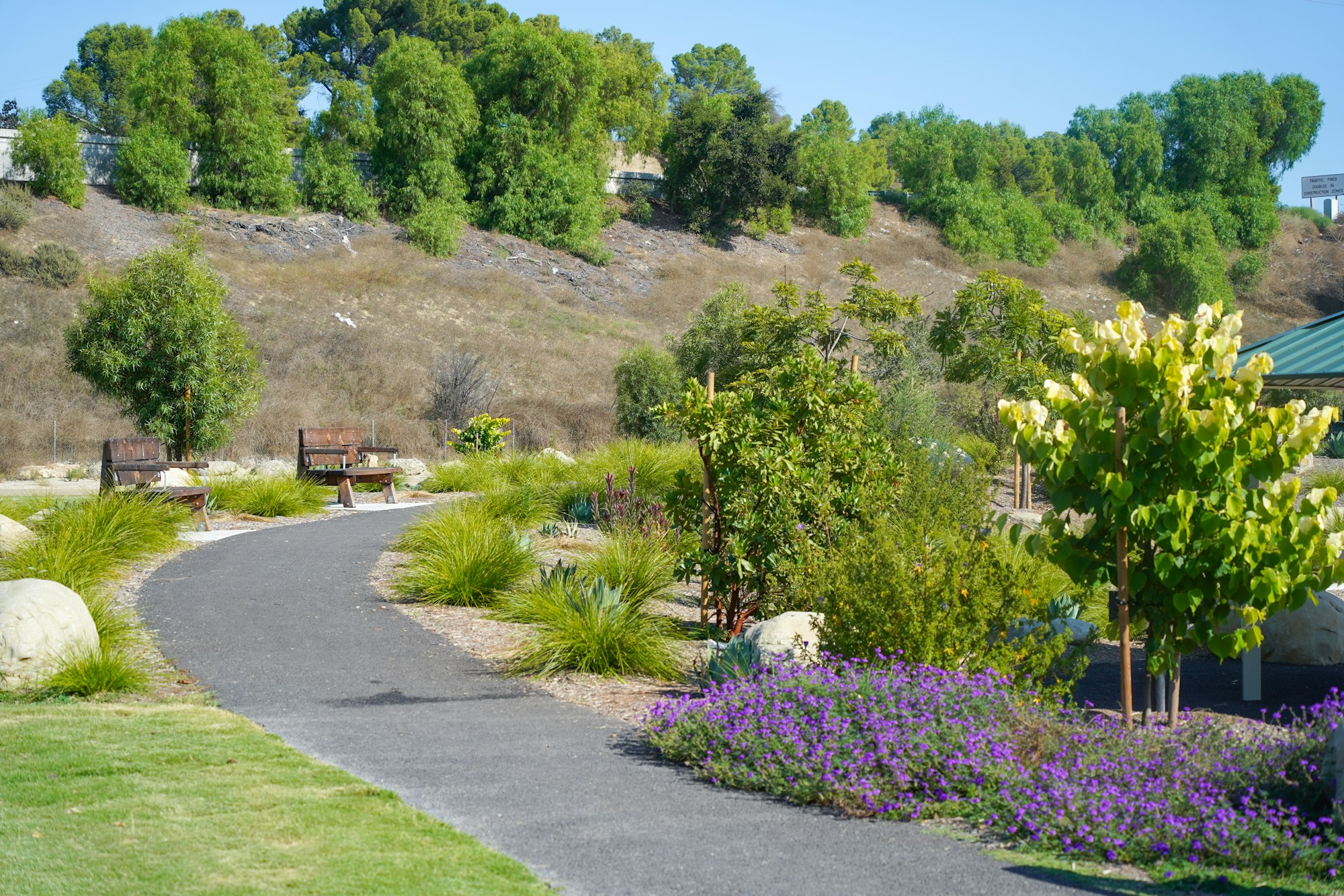 A winding path in a park with benches, green trees, and flowering plants under a clear blue sky.