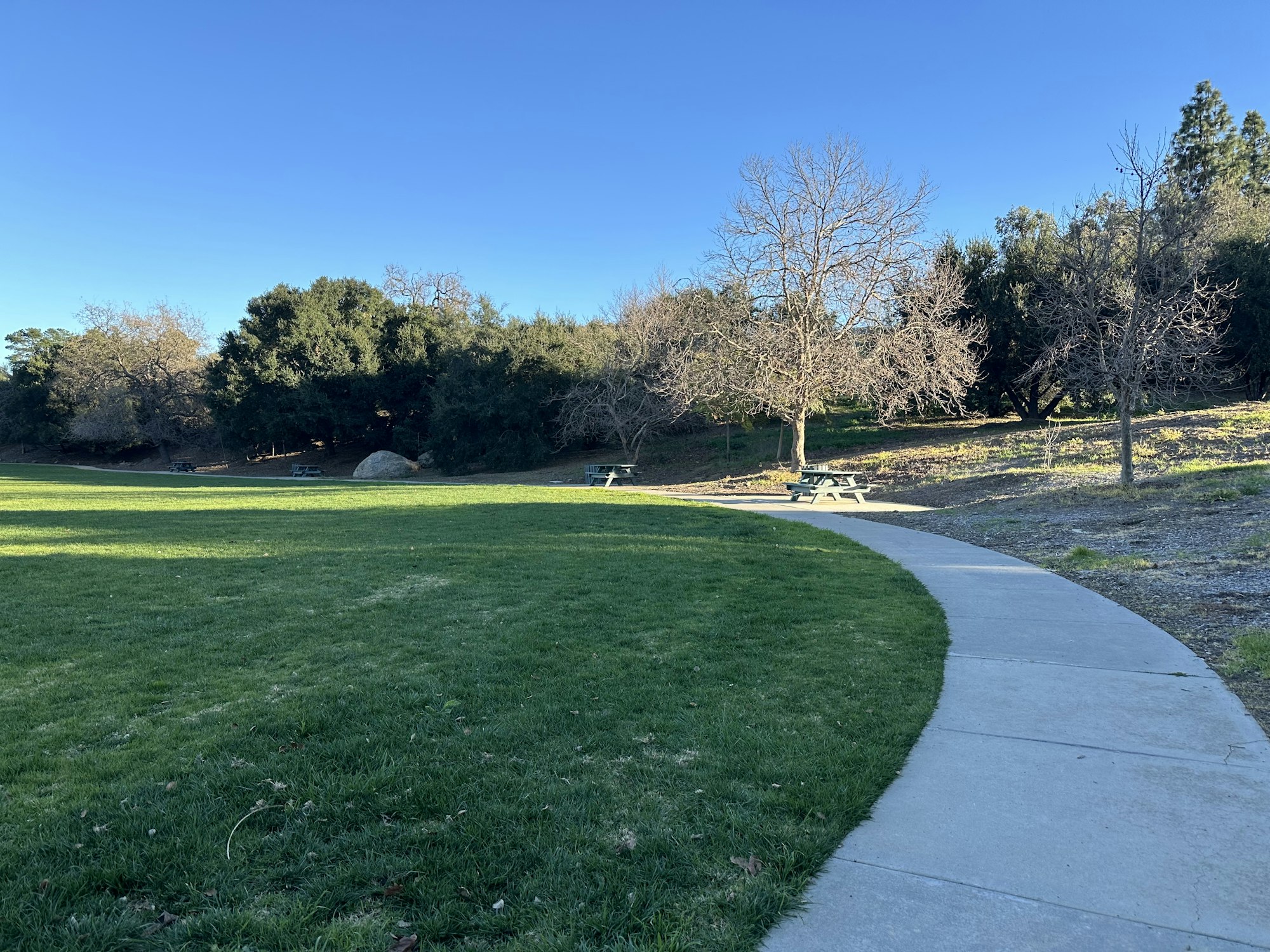 A park with a curved path, grass, trees, picnic tables, and clear blue sky.