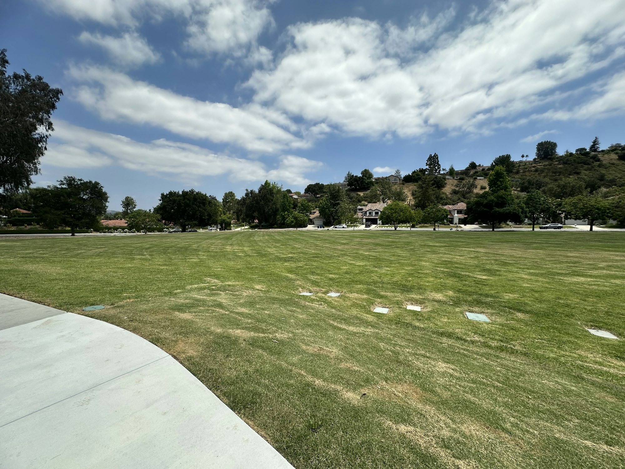 A spacious park scene with green grass, trees, and a cloudy sky, bordered by houses and hills in the background.