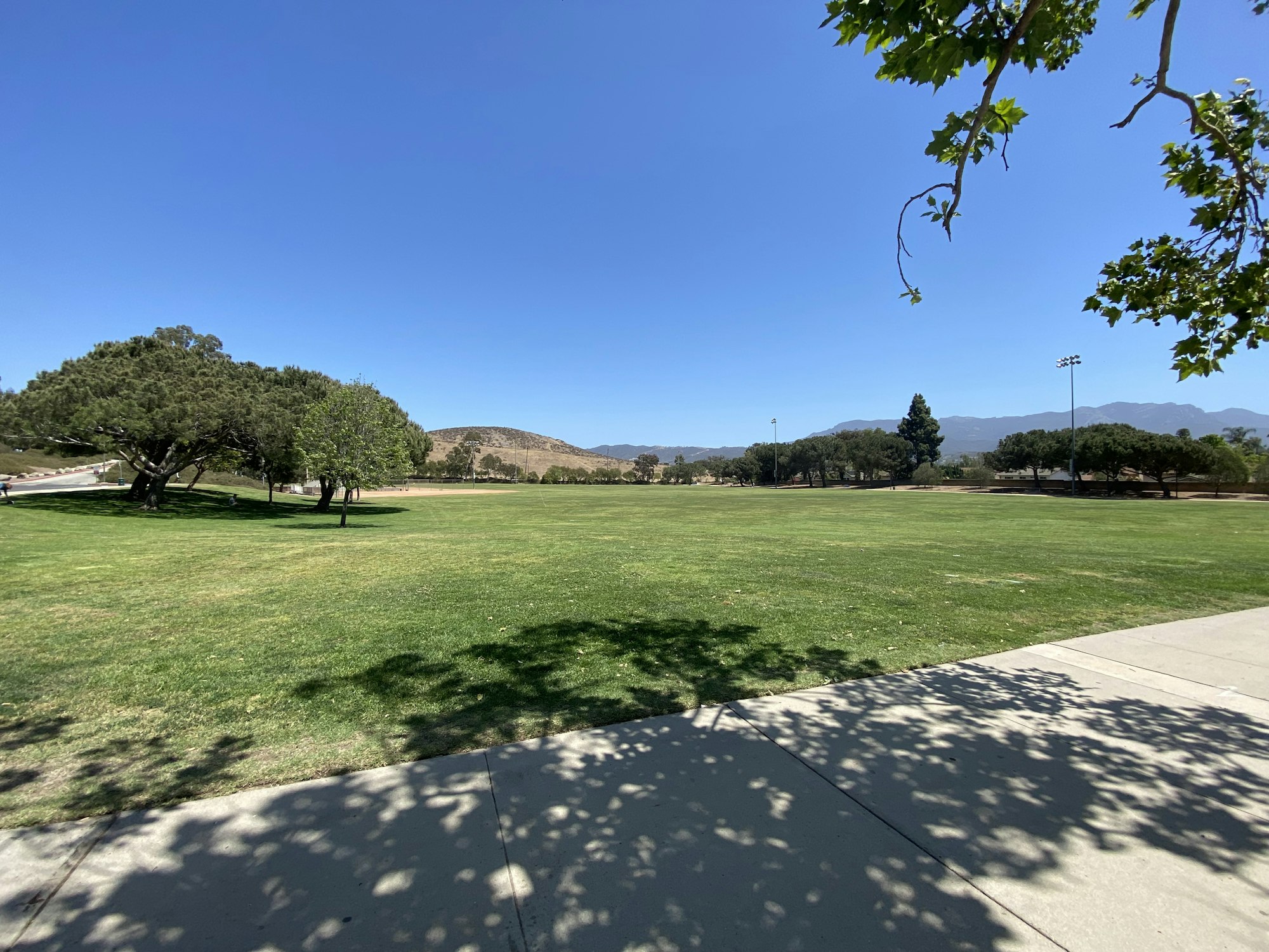 A grassy park with trees, a walkway, hills in the background, and a clear blue sky.
