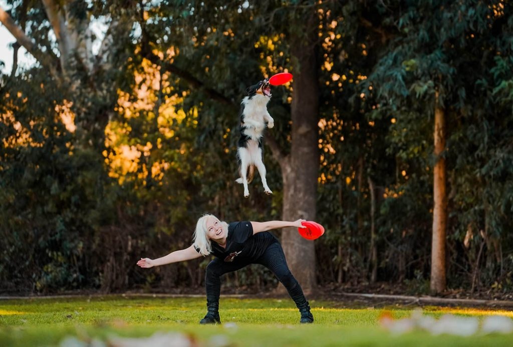 Dog leaps to catch frisbee in park, mid-air above person's back.