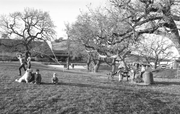 People enjoying a park, some sitting on the grass with a dog, others playing. Trees and a path visible in the background.