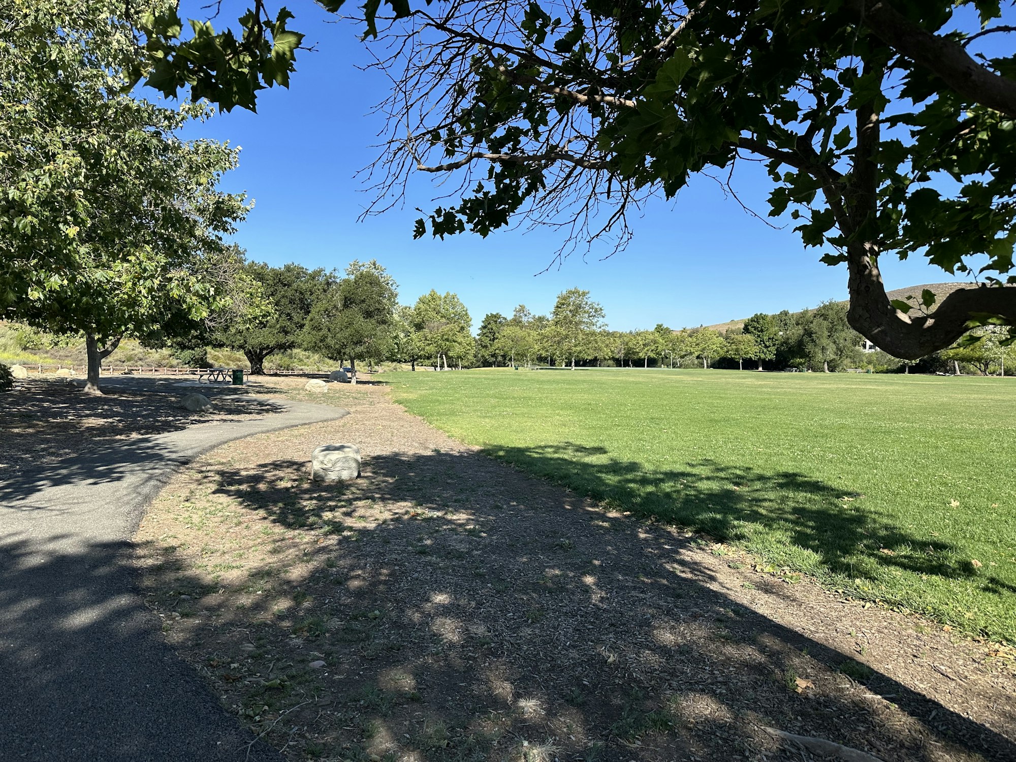 A wide, green park area featuring trees, a curved pathway, and a clear blue sky. Perfect for walking or relaxing outdoors.