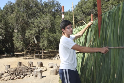 A person is constructing a leafy wall or shelter outdoors, surrounded by trees and wooden frames.