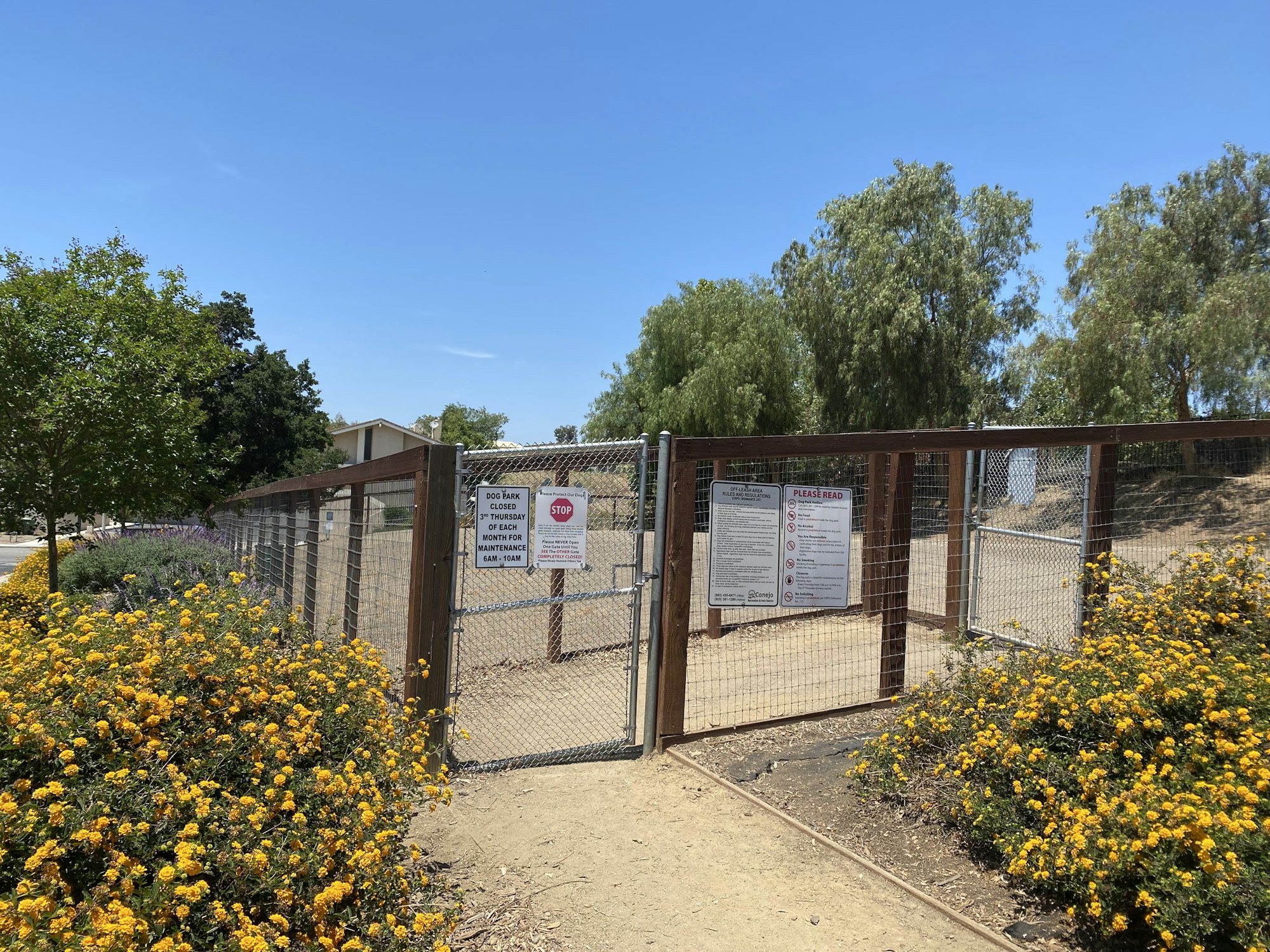 Dog park entrance with a fence, signs, and yellow flowering bushes.