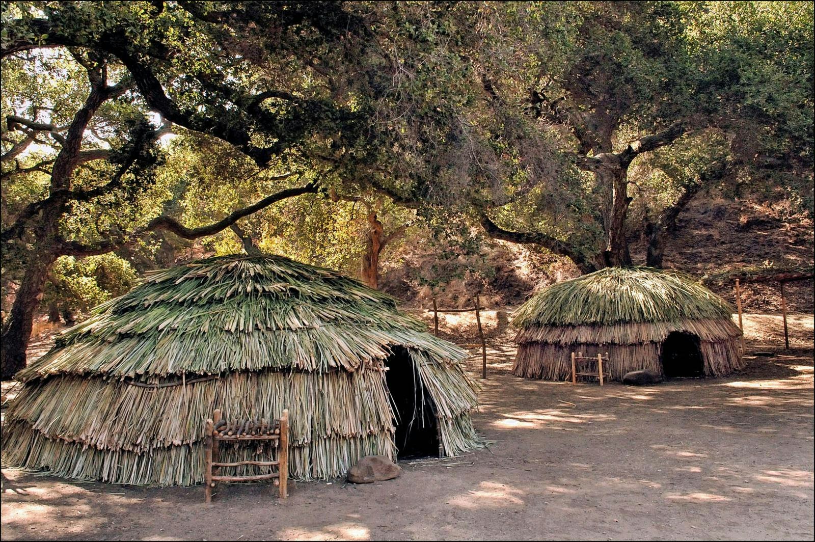Two traditional thatched huts under large trees in a sunny, wooded area.
