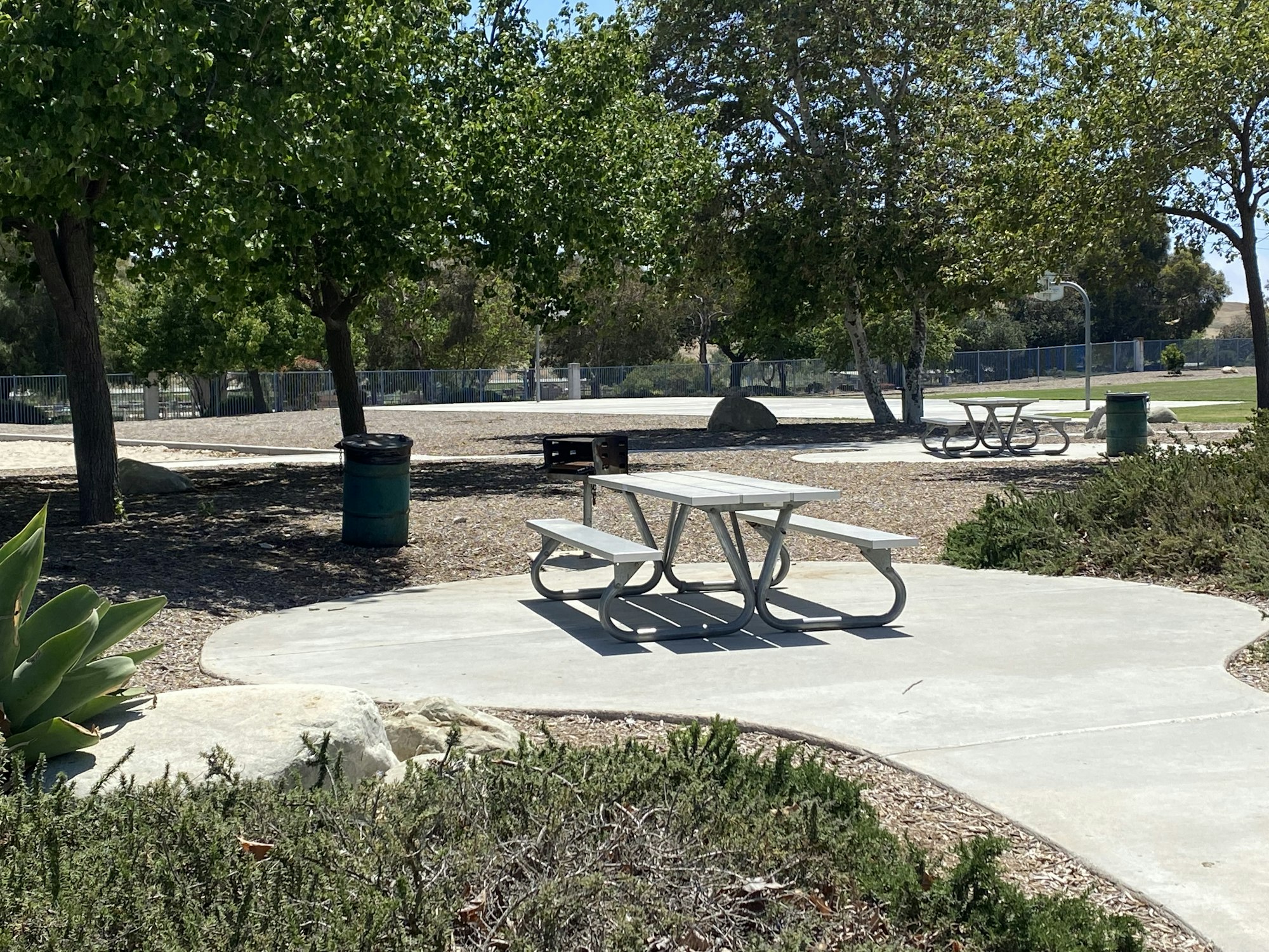 A park with picnic tables, green trees, a trash can, and a basketball hoop on a sunny day.