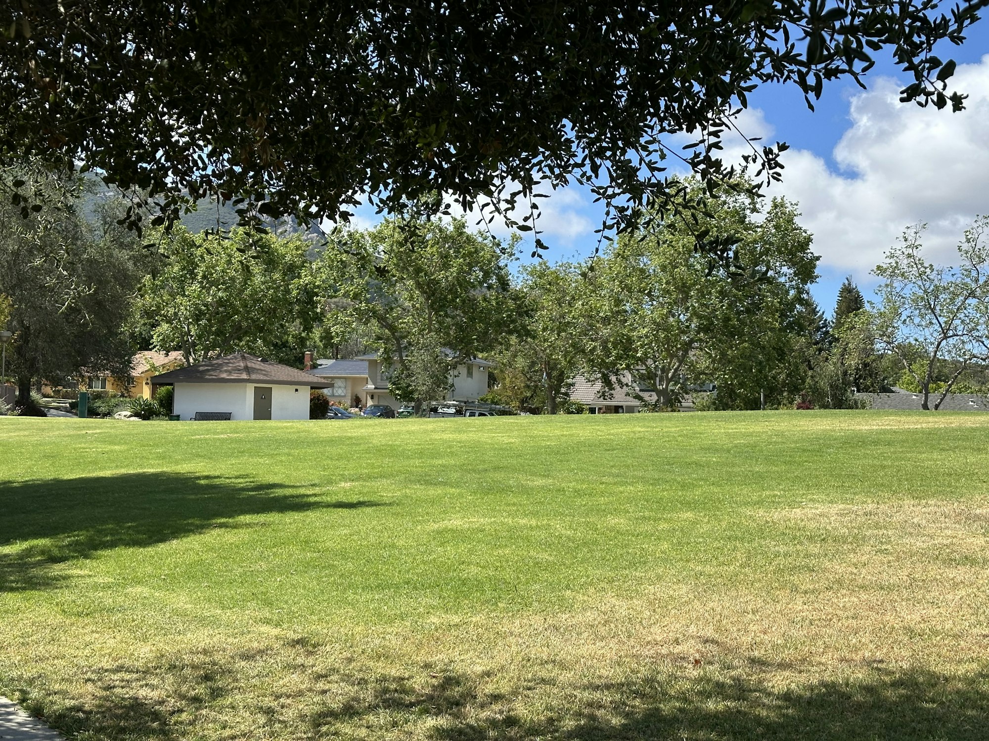 A sunny park scene with green grass, trees, a small building, and nearby houses under a blue sky with clouds.