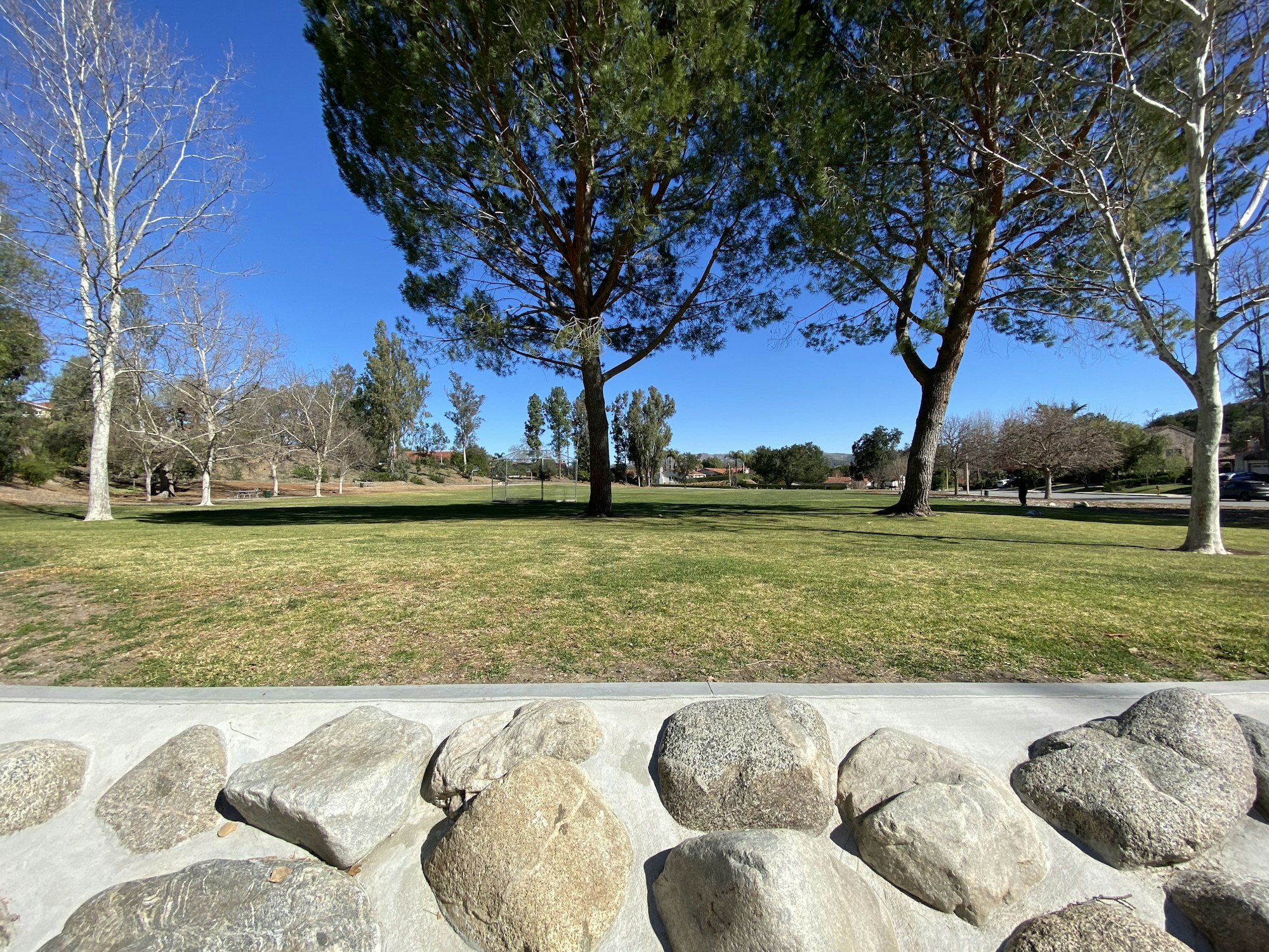 Park with green grass, large trees, and rocks in the foreground under a clear blue sky.