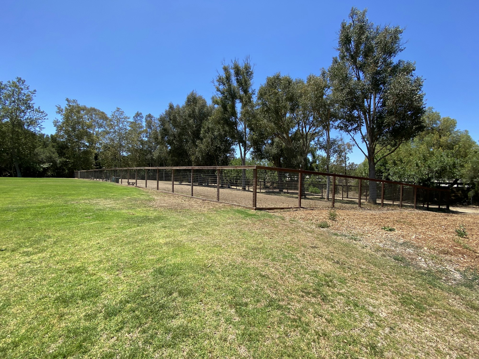 A grassy field with a fence and trees under a clear blue sky.