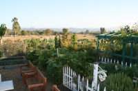 A garden with wooden benches, a white picket fence, lush plants, a trellis, and a scenic countryside backdrop.