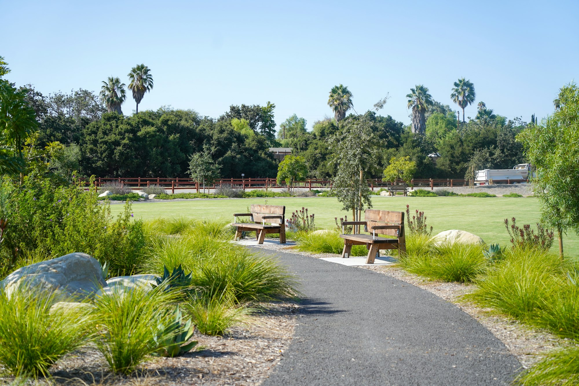 A park with two wooden benches along a path, surrounded by grass, plants, and trees under a clear blue sky.