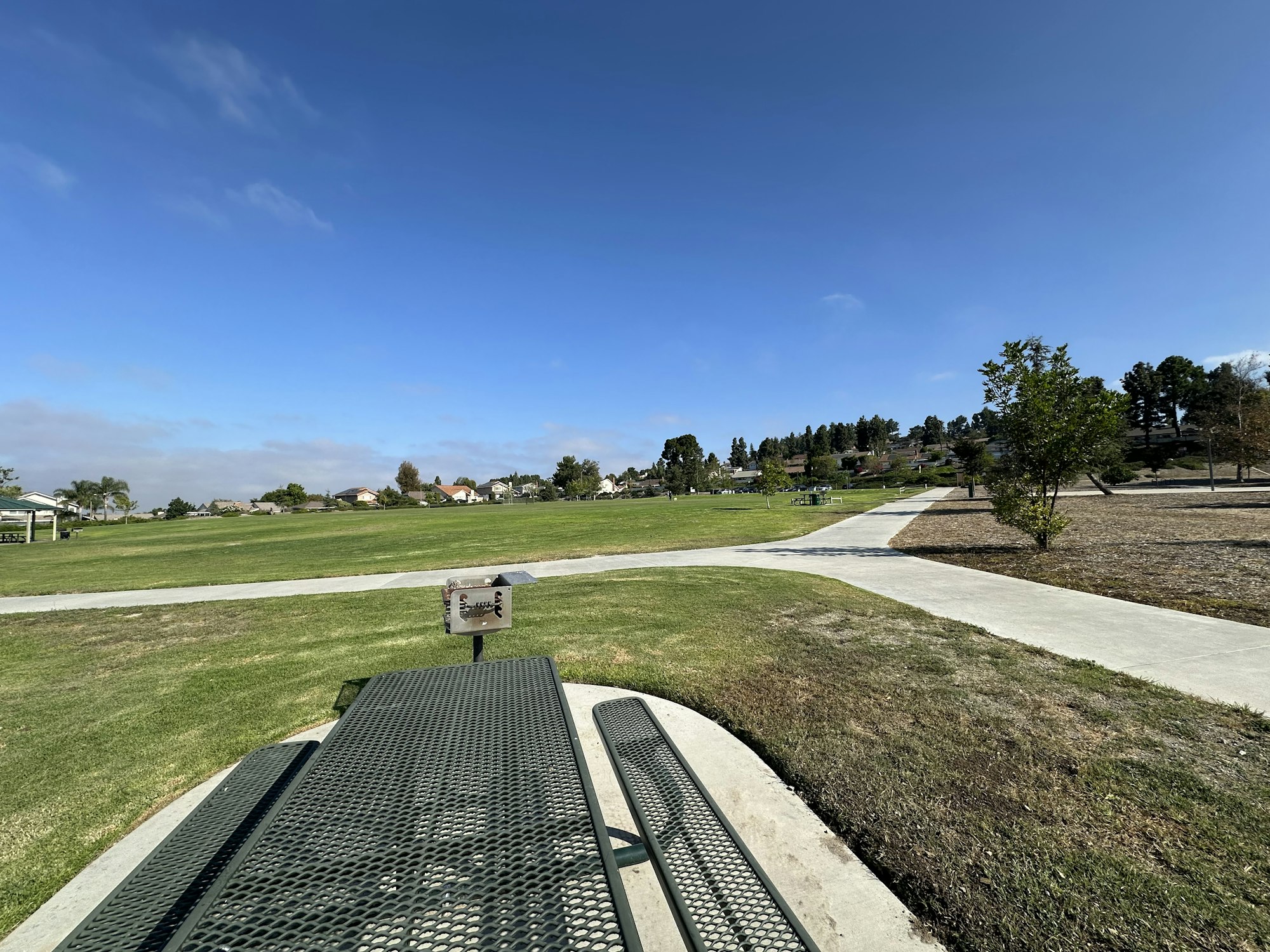 A sunny park scene with green grass, walking paths, and picnic tables under a clear blue sky.