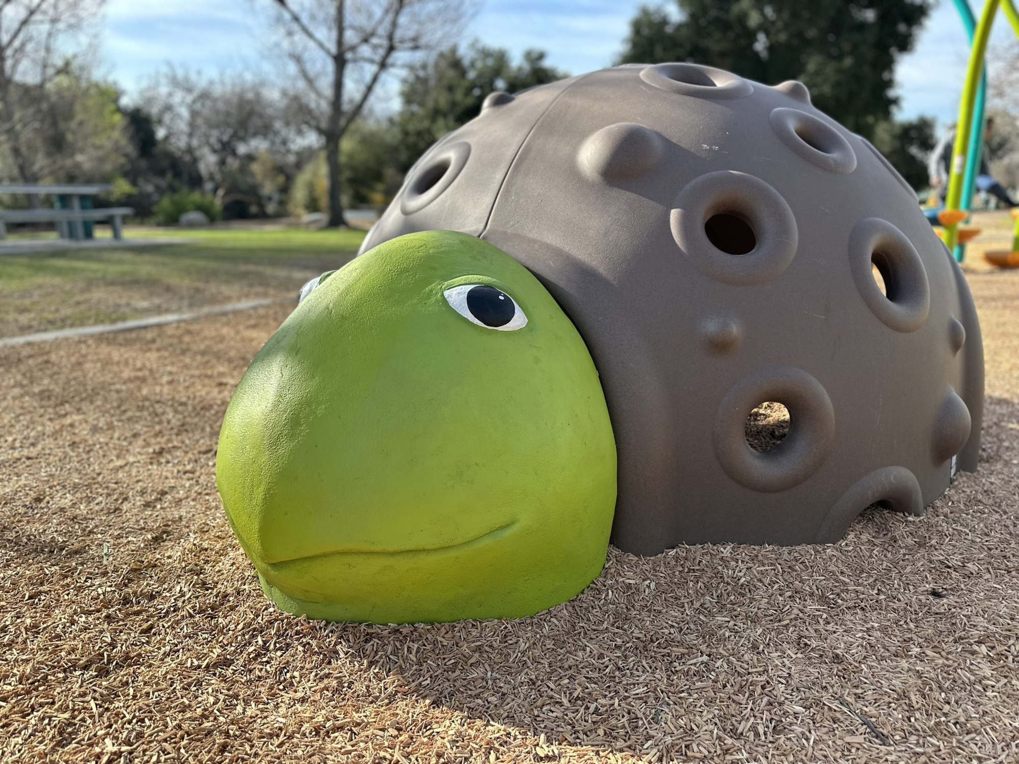 A turtle-themed playground structure with a green head and a brown shell on wood chips.