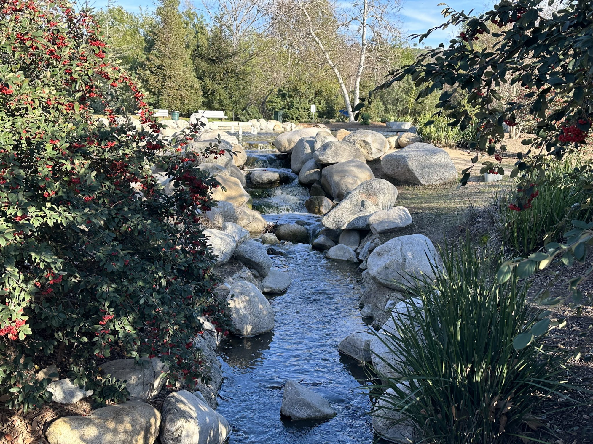 A tranquil stream flows through rocks, surrounded by greenery and red-berried bushes under a blue sky.