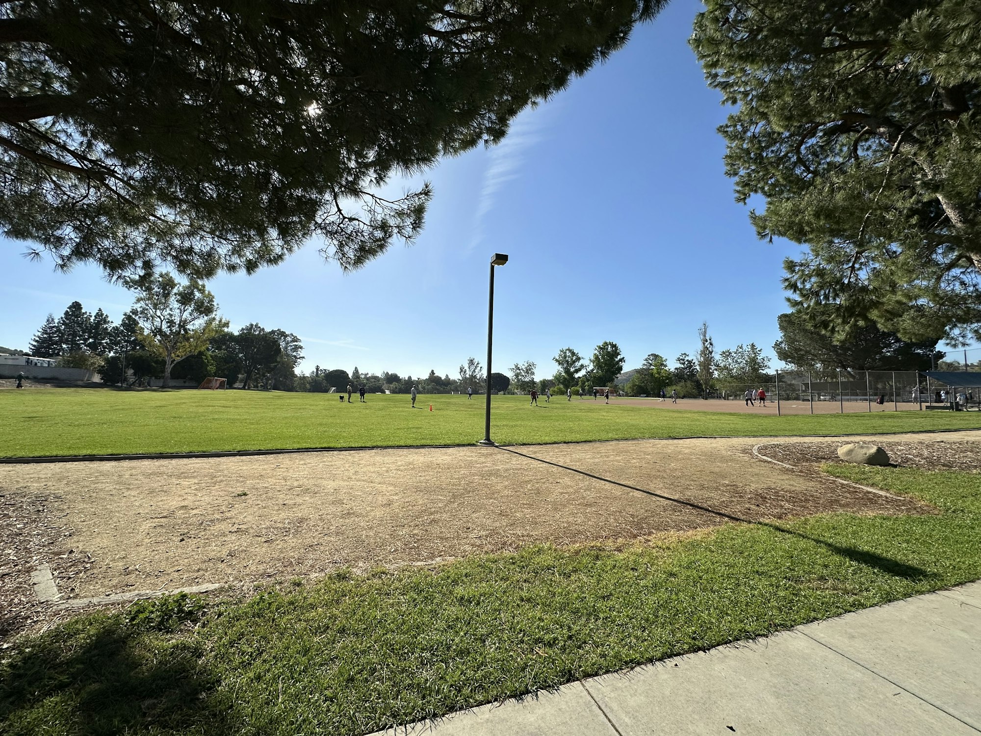 A sunny park with green grass, trees, and people playing sports in the background on a clear blue sky day.