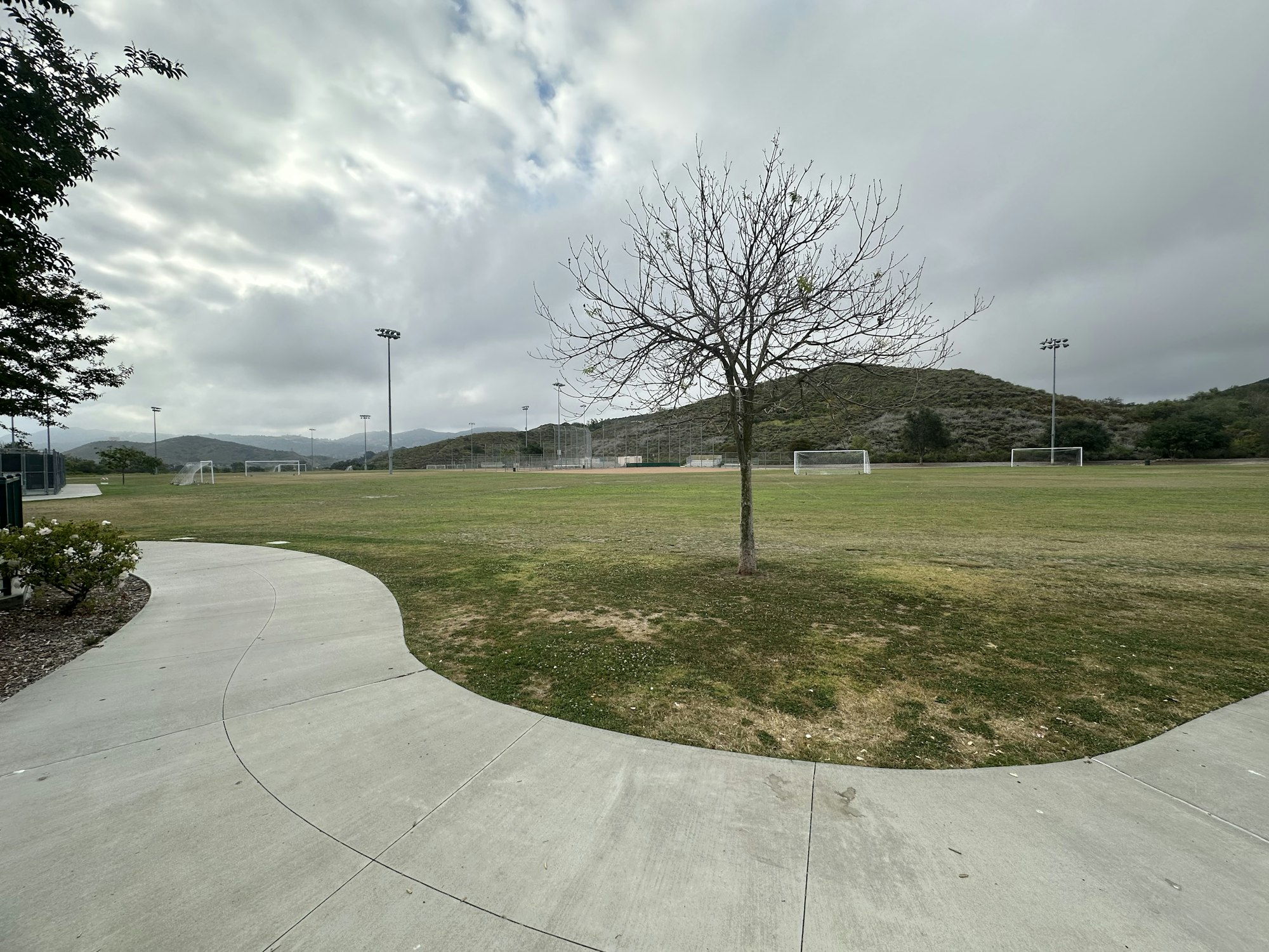 A soccer field with goals in the background, a bare tree, and a curved pathway, set against a cloudy sky and hills.