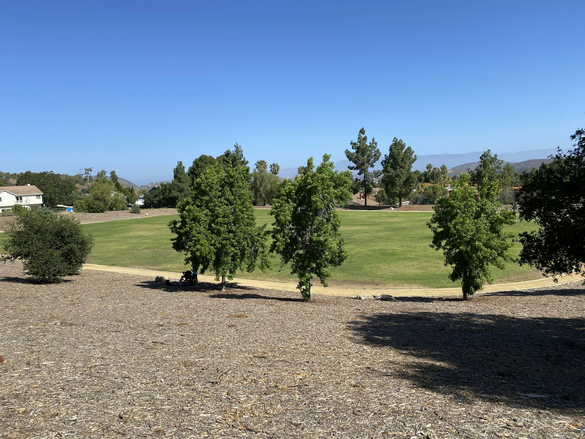 Open grassy field with trees, surrounded by a dirt path and distant mountains under a clear blue sky.