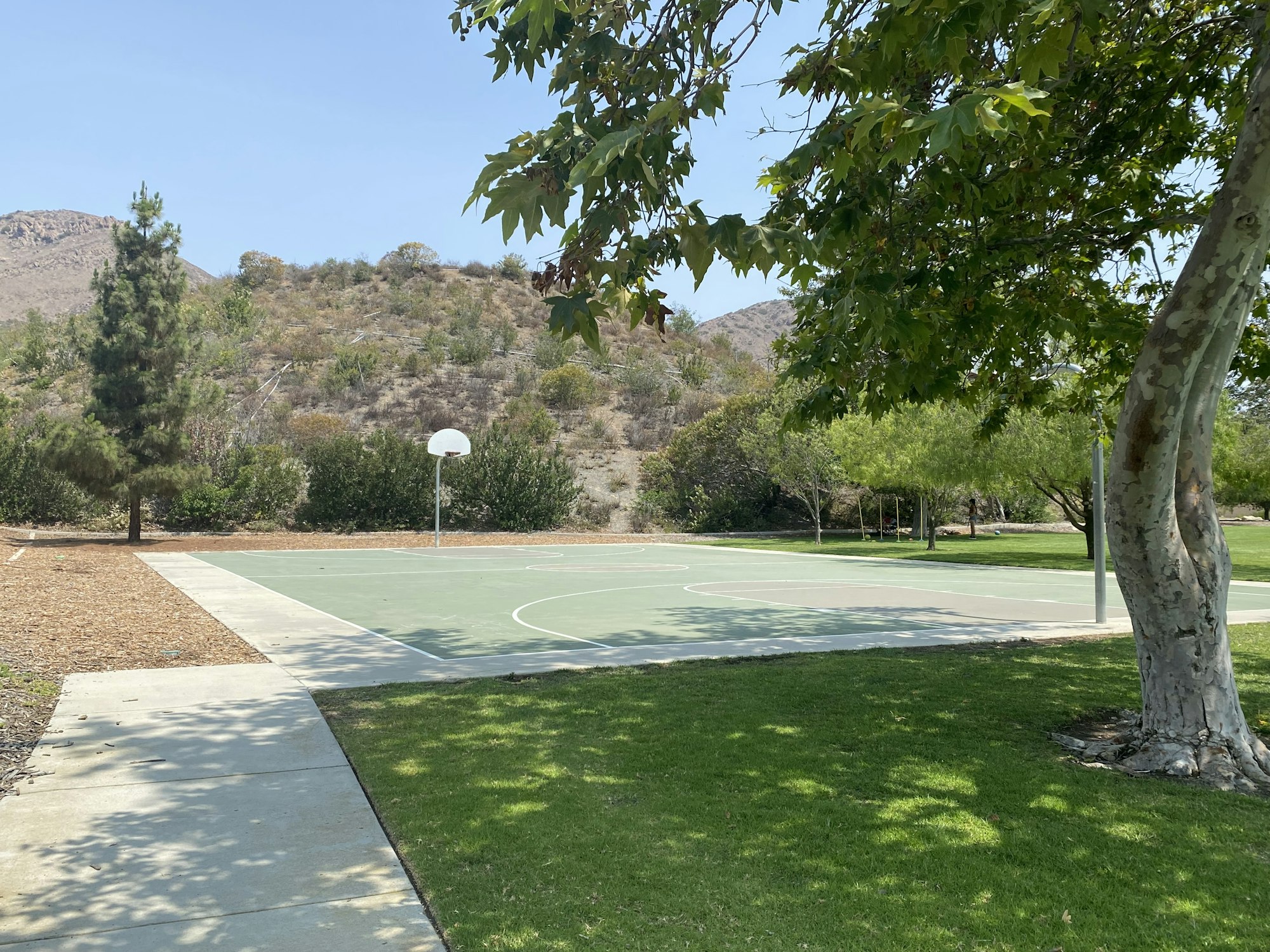 Basketball court with a hoop, surrounded by trees and a hill in the background, under a clear sky.