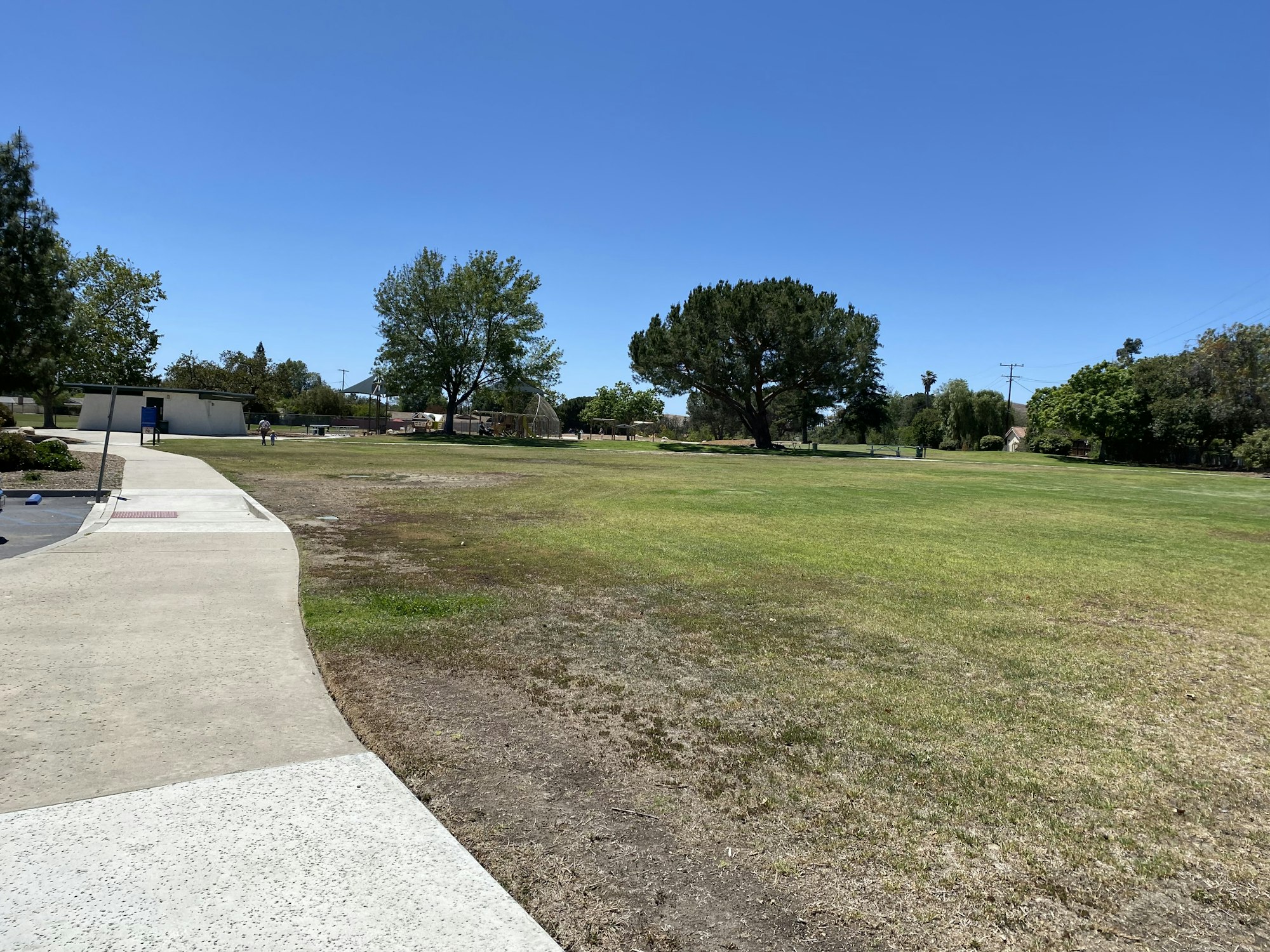 A sidewalk curves through an open grassy park with scattered trees under a clear blue sky.
