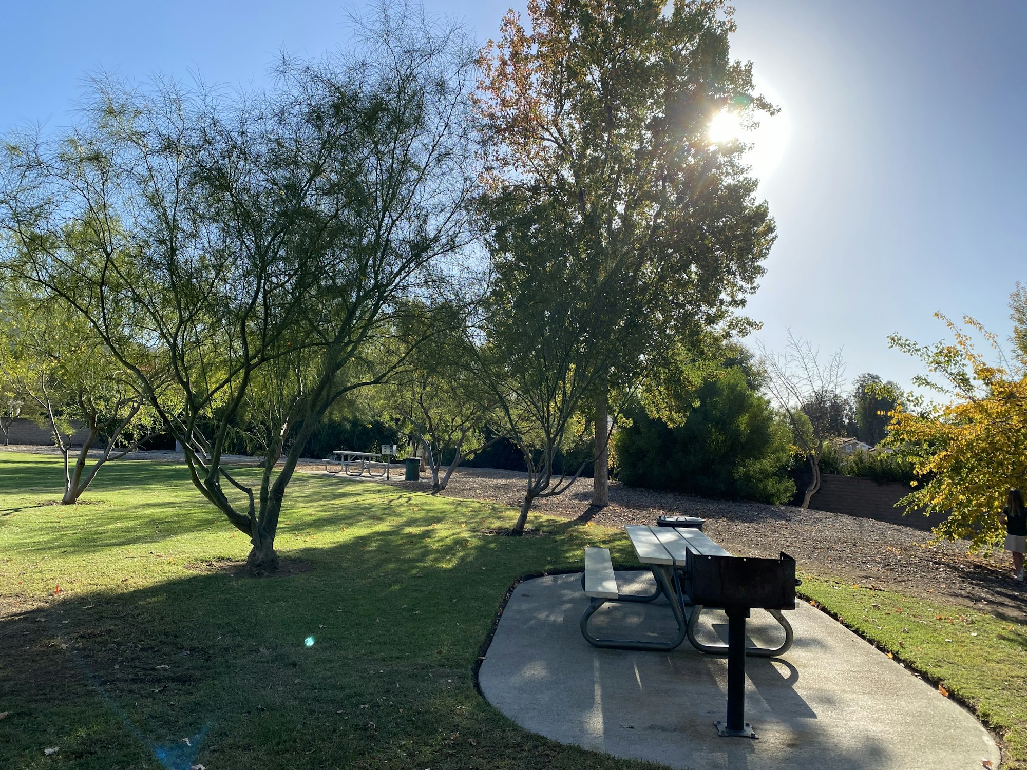 A sunny park scene with trees, a picnic table, and a BBQ grill.