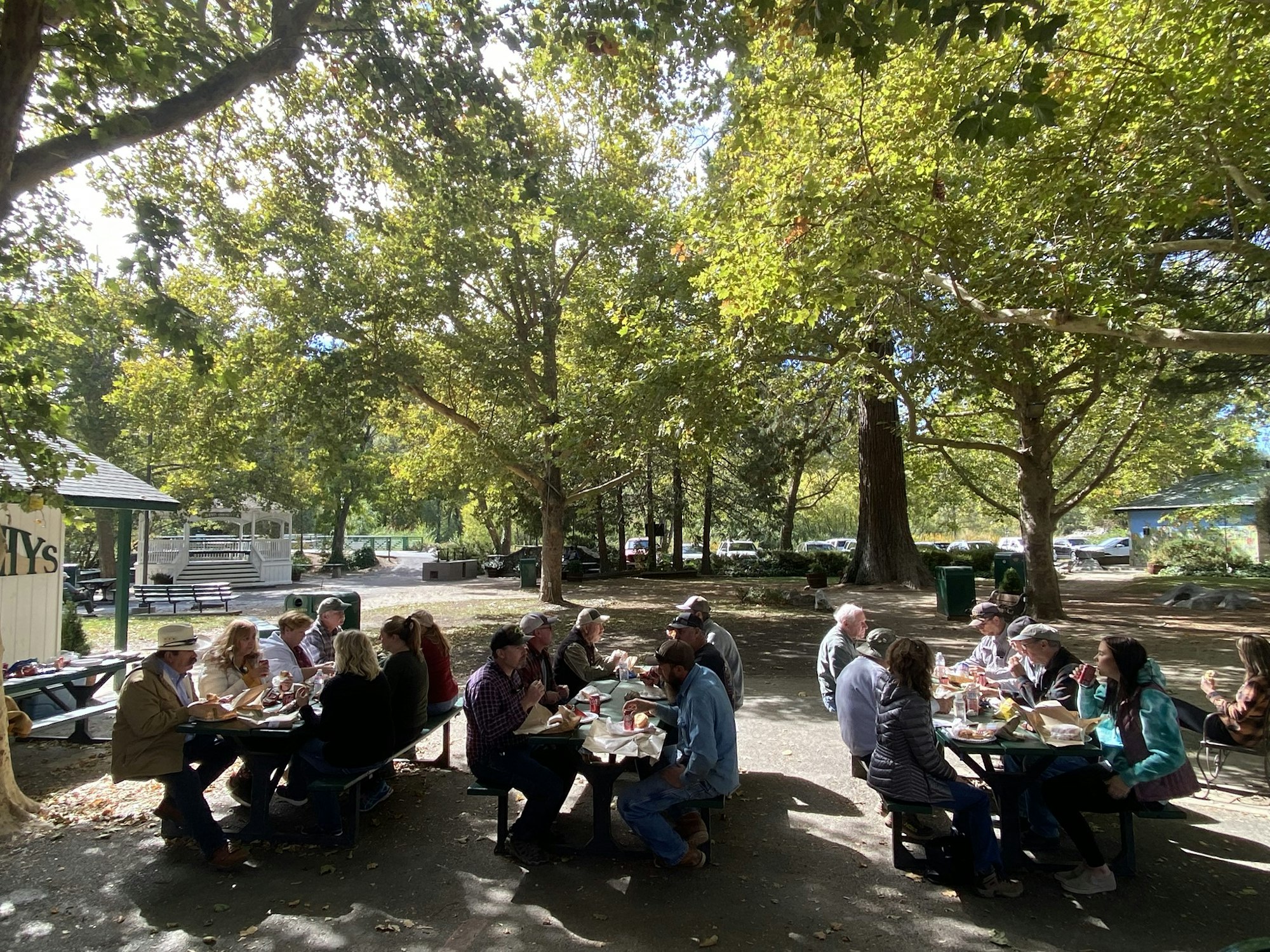 People sitting at picnic tables in a park, eating and socializing under large trees.