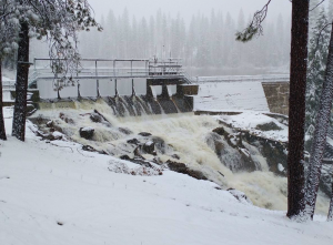 Water flowing over a dam with snow-covered surroundings and trees.