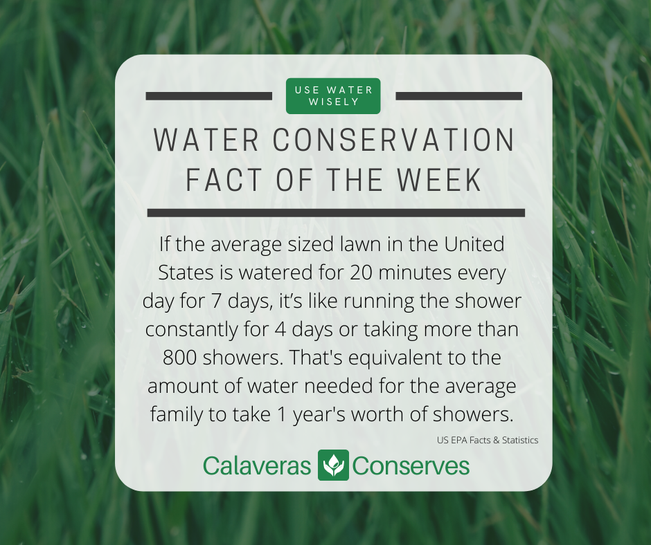 Water conservation fact: Watering a lawn for 7 days equals 800 showers or 1 year’s worth of family showers. Use water wisely.