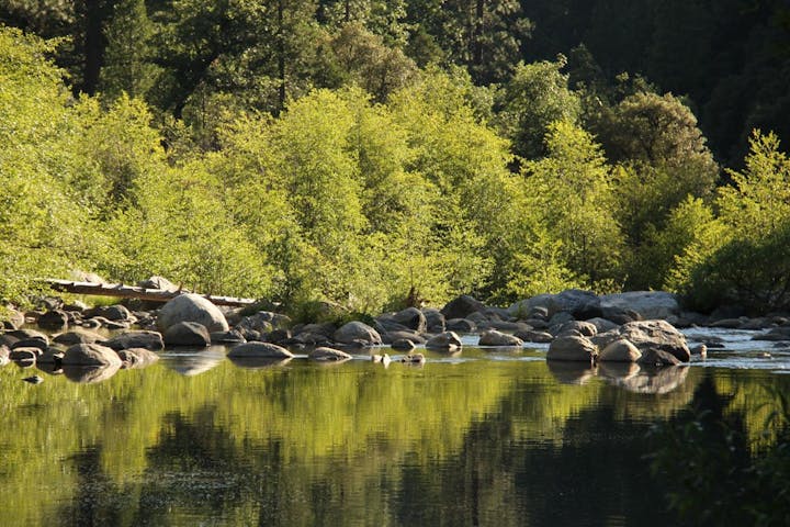 A serene river with rocks, surrounded by lush green trees reflecting in the water under sunlight.