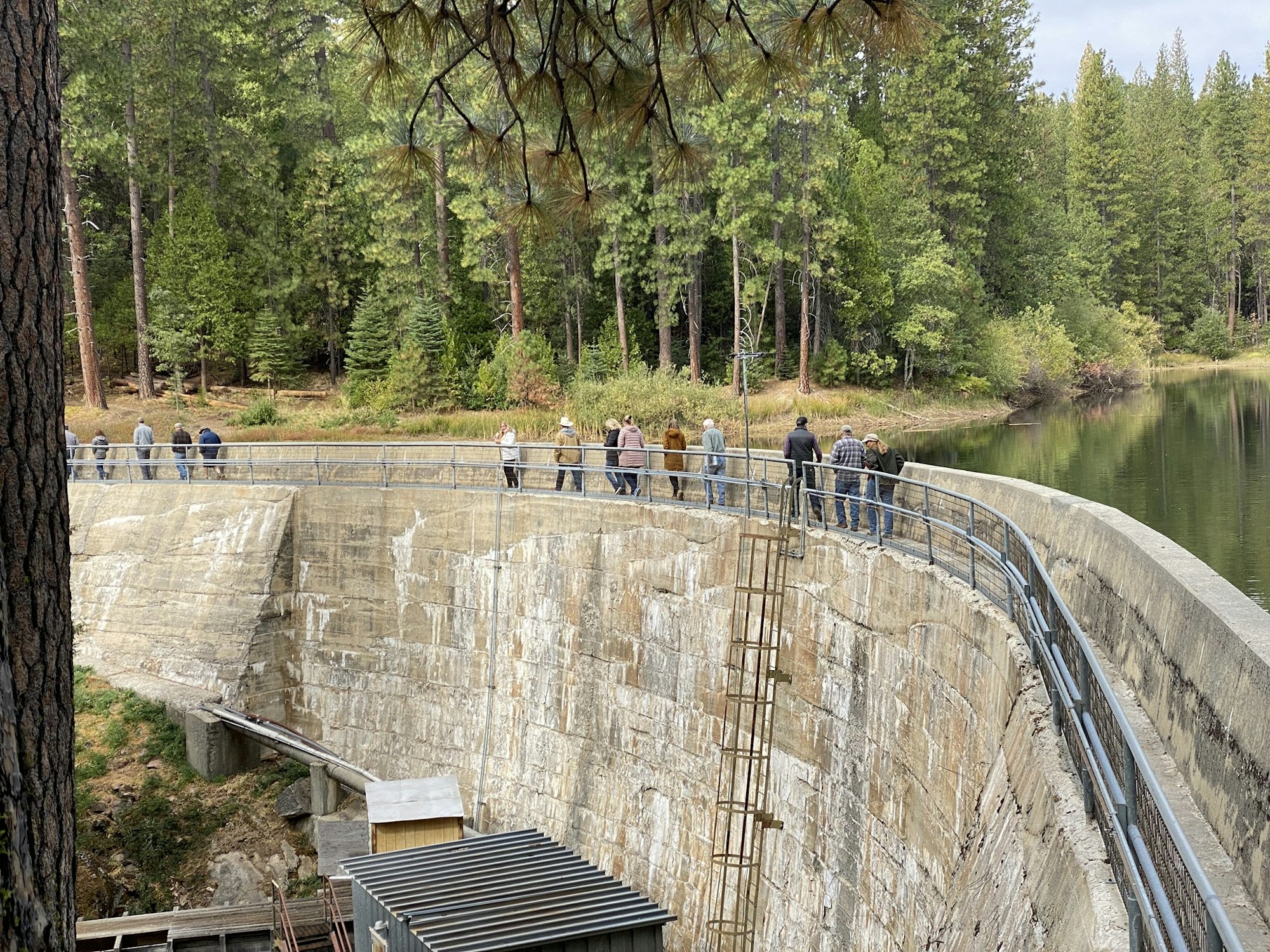 People walking on a dam alongside a forested area.