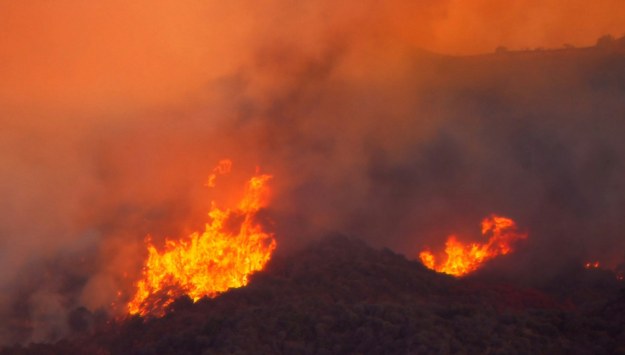 A large wildfire with bright flames engulfing vegetation, smoke rising into an orange sky.