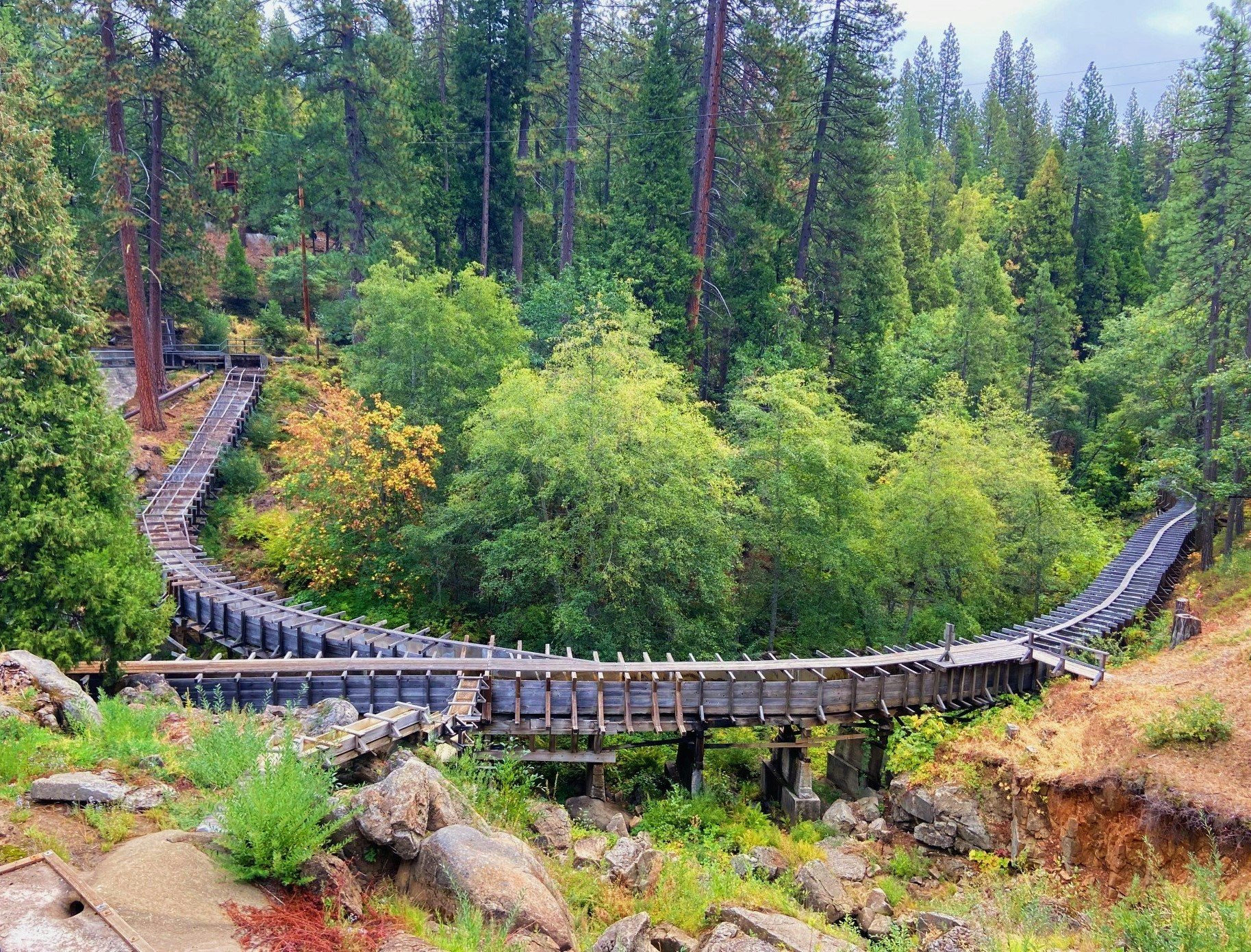 A wooden flume winds through a lush forest with tall trees and rocky terrain.