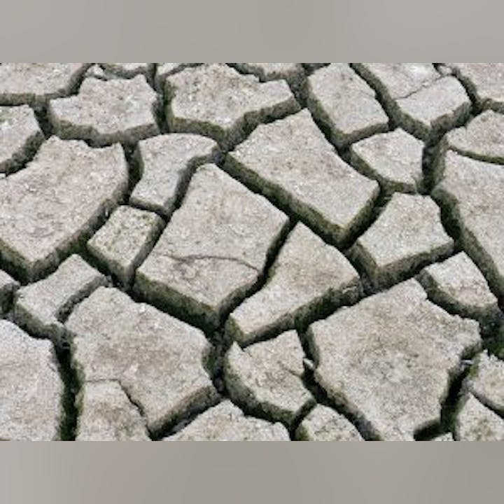 Cracked dry earth with irregular patterns, typical of drought conditions.