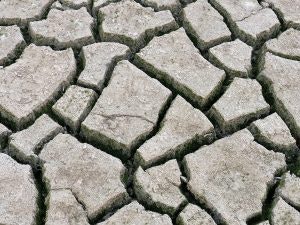 Cracked dry earth with irregular patterns, typical of drought conditions.