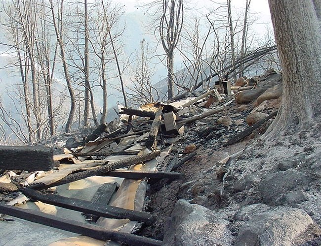 A charred forest landscape with burnt trees and debris, indicating a recent fire.