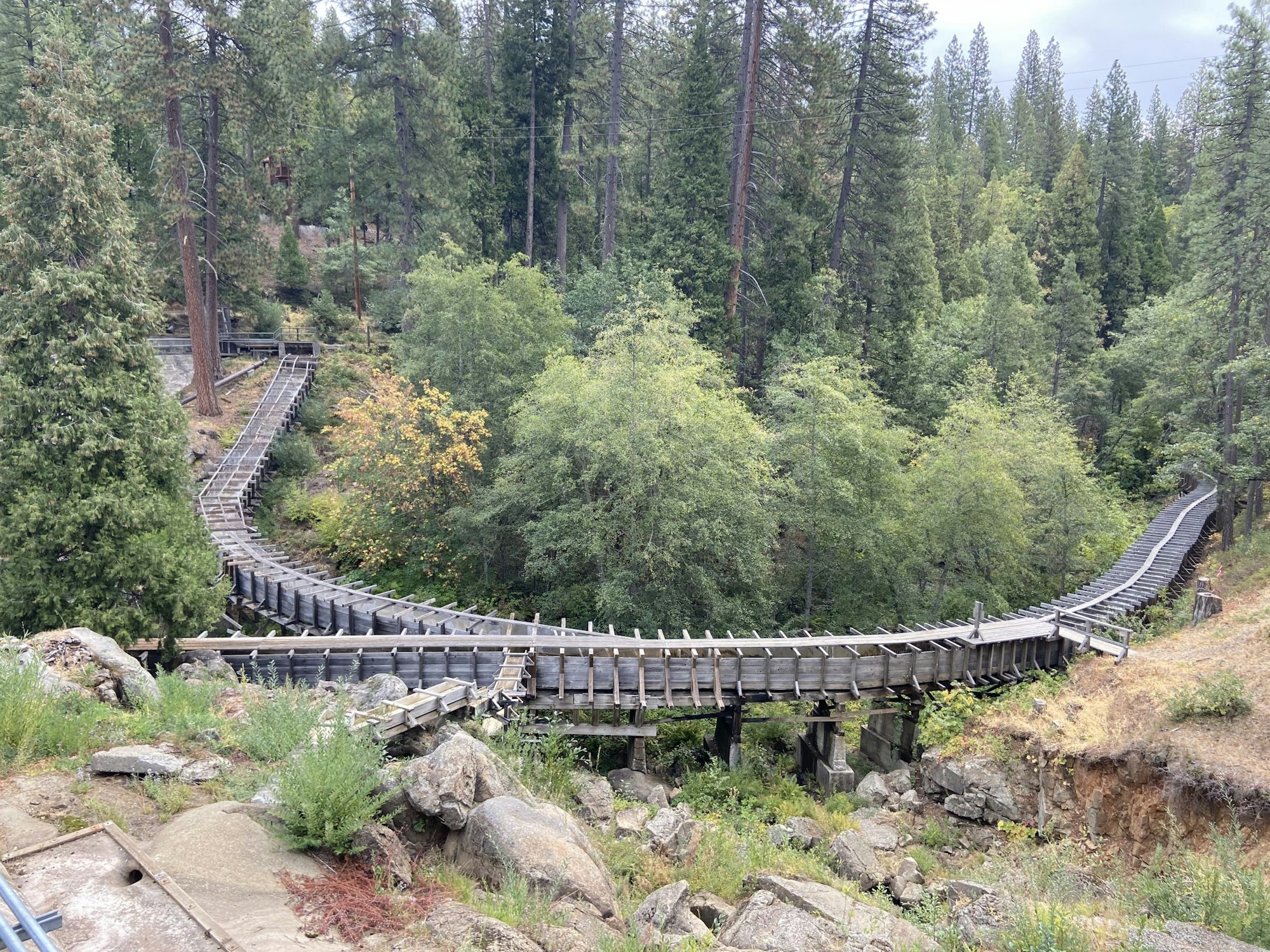 A winding wooden flume runs through a dense forest, surrounded by trees and rocks.