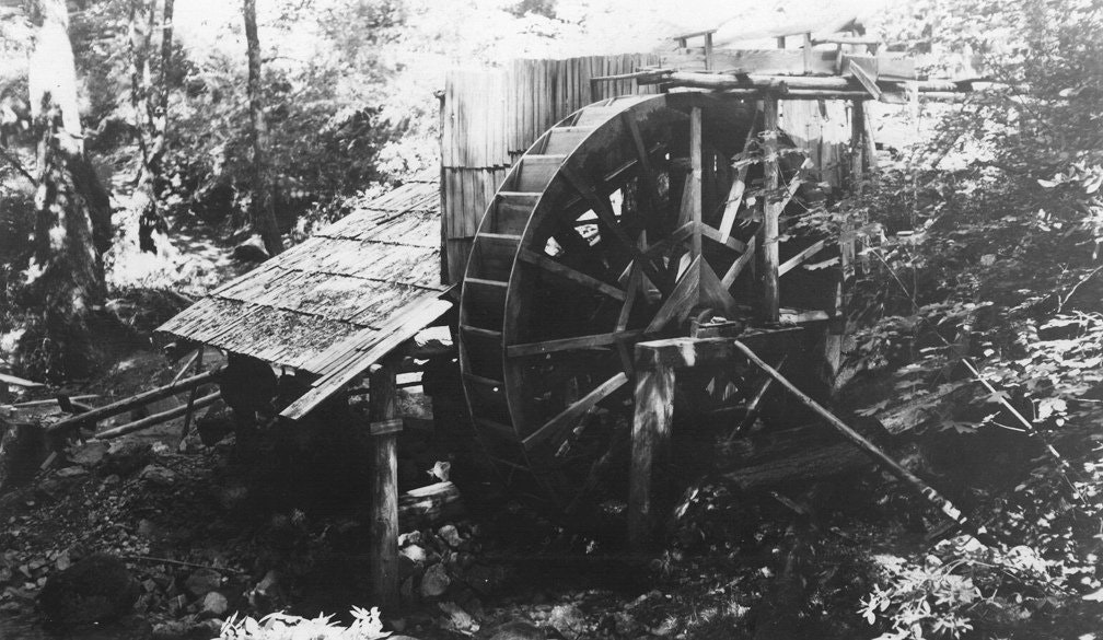 A vintage waterwheel surrounded by foliage, part of an old mill structure in a wooded area.