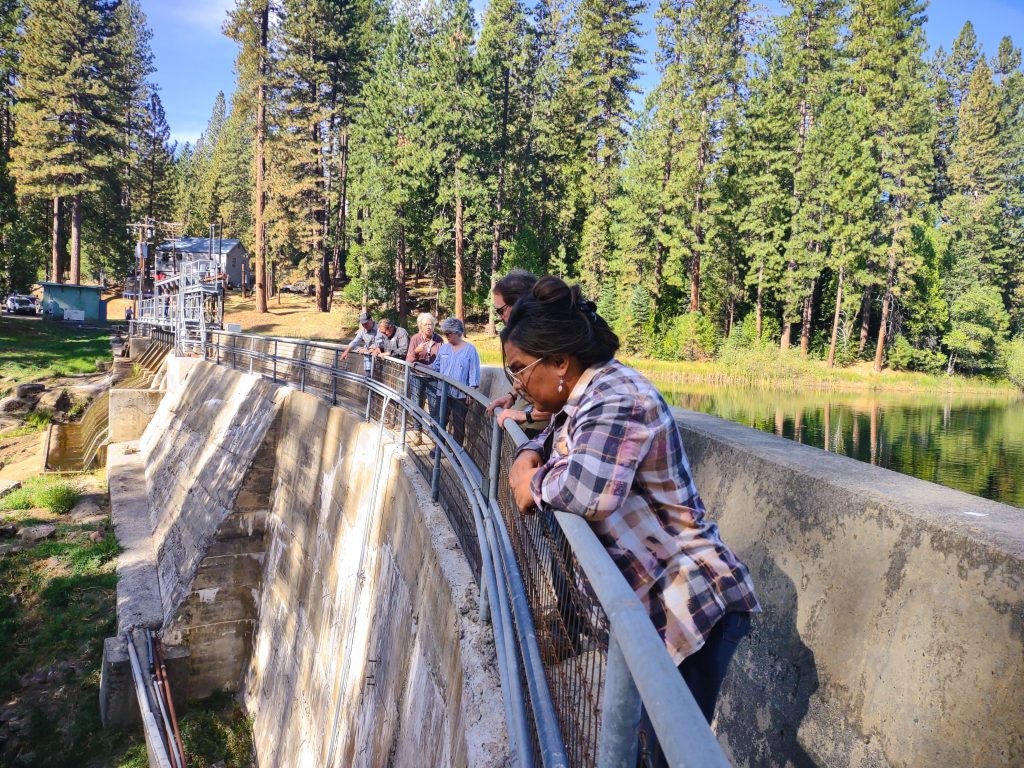 People standing on a dam look downwards, surrounded by trees and a clear sky.