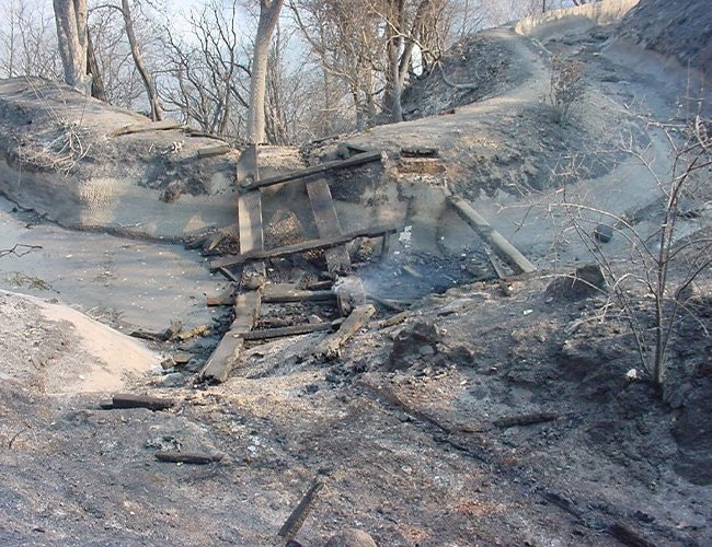 Charred landscape with burnt trees and debris, including wooden planks, scattered on the ground.