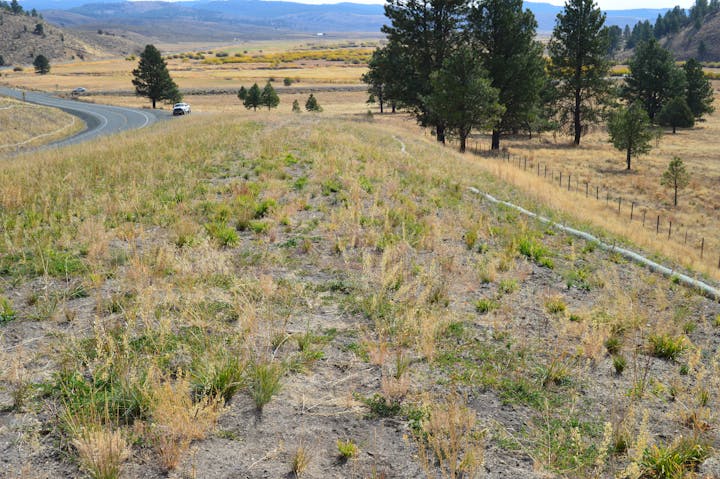 picture of roadside treatment in Grant County Oregon
