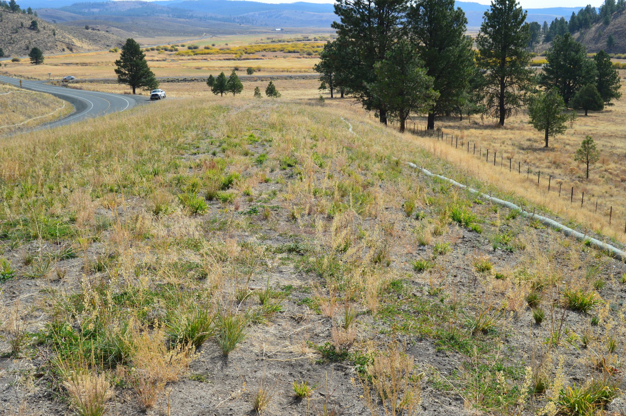 picture of roadside treatment in Grant County Oregon