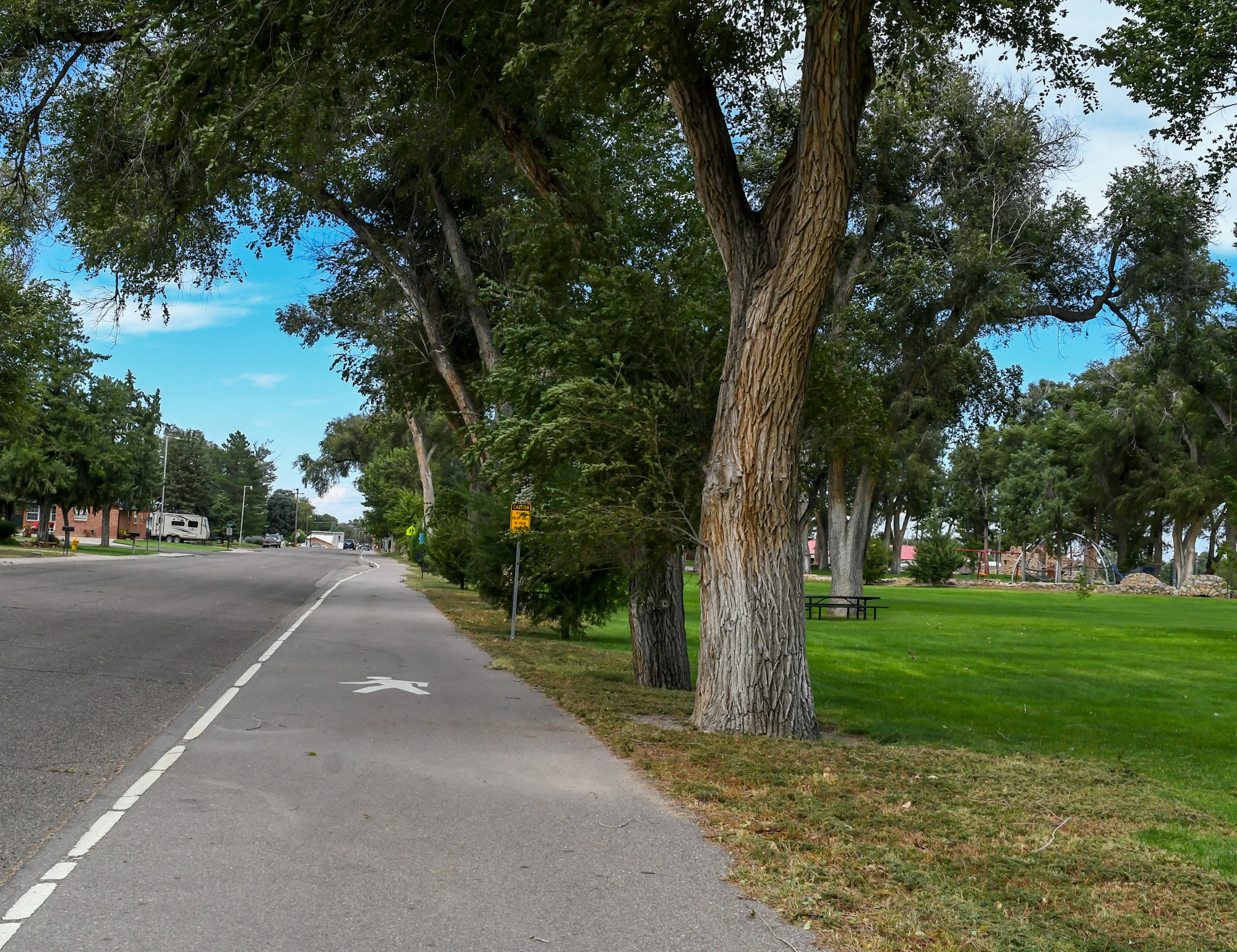 A paved road with a bike lane beside a park with large trees and a grassy area.