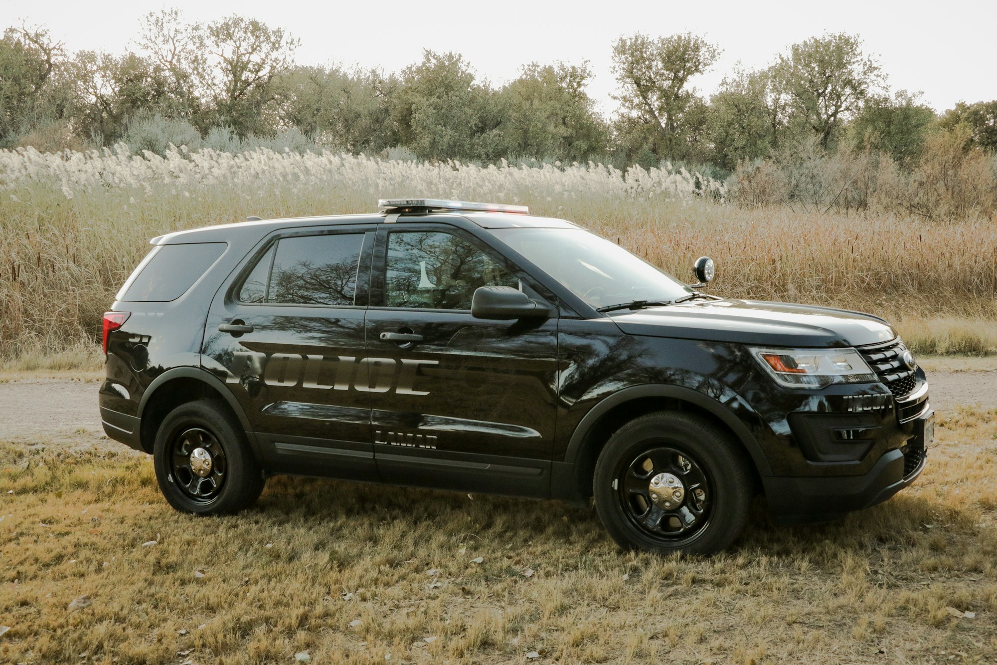 A black police SUV parked by some grassy terrain.
