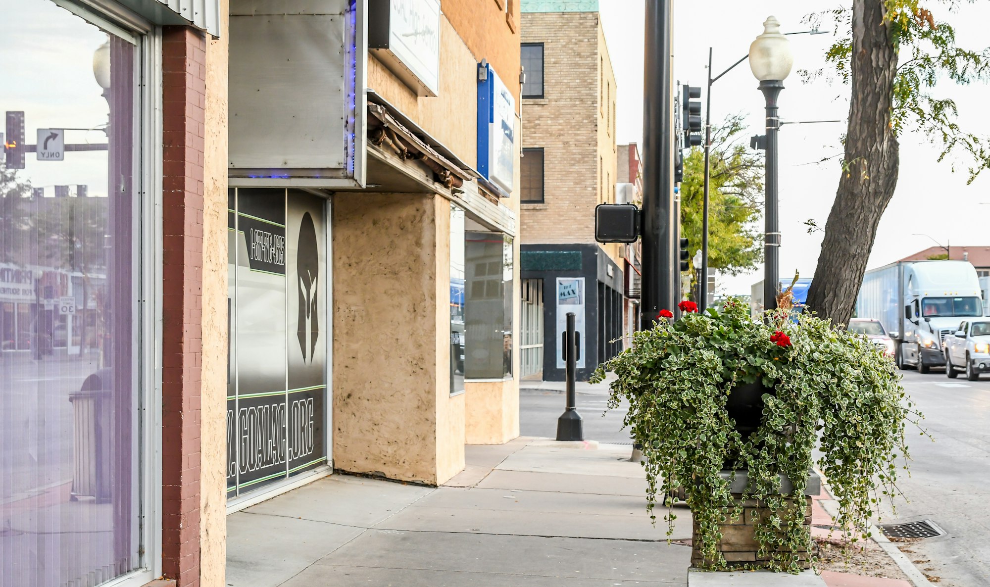 Street view with buildings, a planter with flowers, and vehicles in the background.