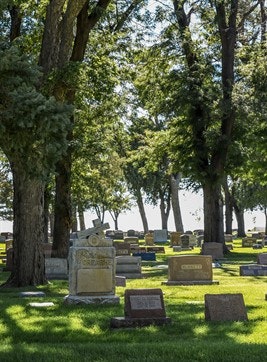 A cemetery with tombstones, trees, and sunlight filtering through.