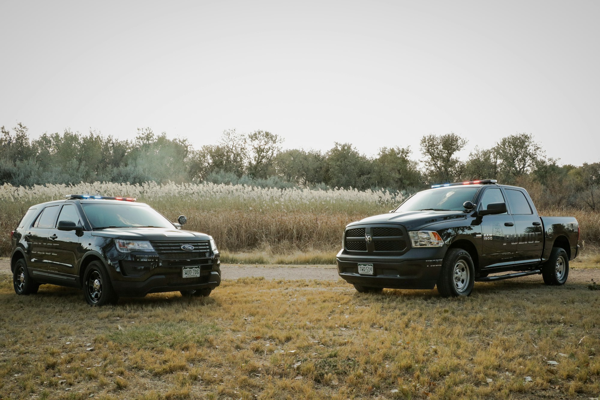 Two police SUVs parked side by side in a grassy field with trees in the background.