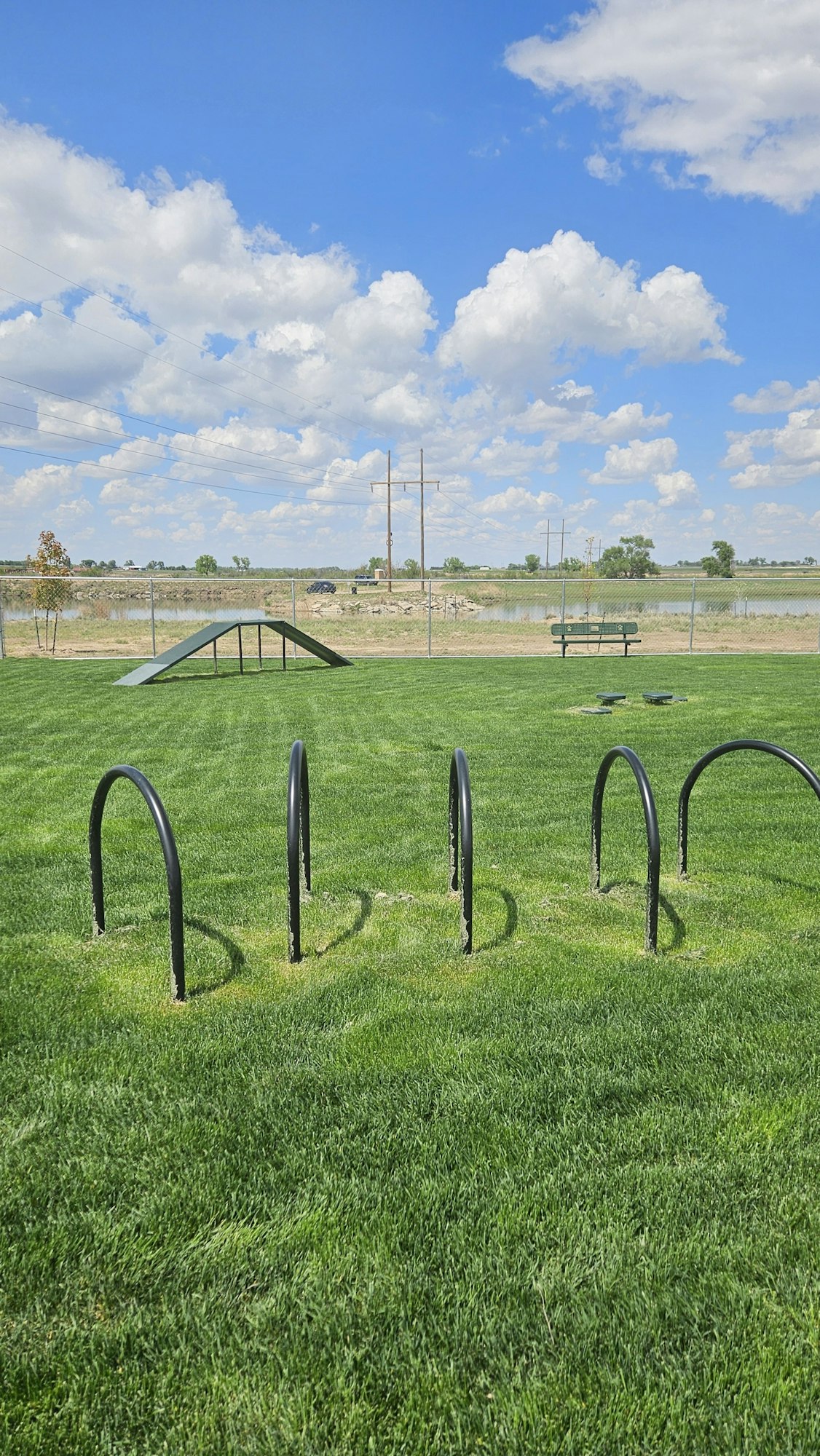 A grassy field with a dog agility course, including hoops and an A-frame ramp, under a blue sky with fluffy clouds.