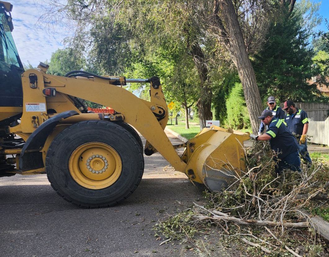 A backhoe loader and workers clearing tree debris on a street.